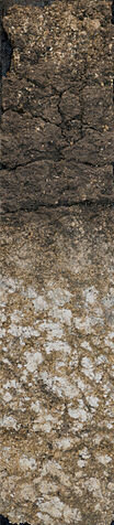 104px-Soil_monolith.jpeg - vineyard soil