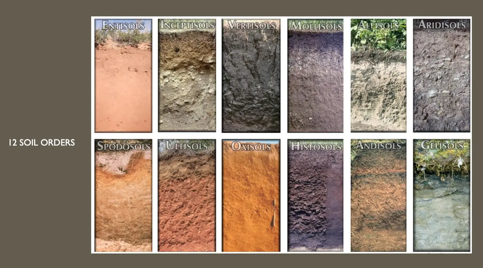 12 Soil Orders - vineyard soil