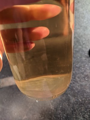 How to Tell If Wine Has Gone Bad Without Opening - sediment in white wine - cloudy wine