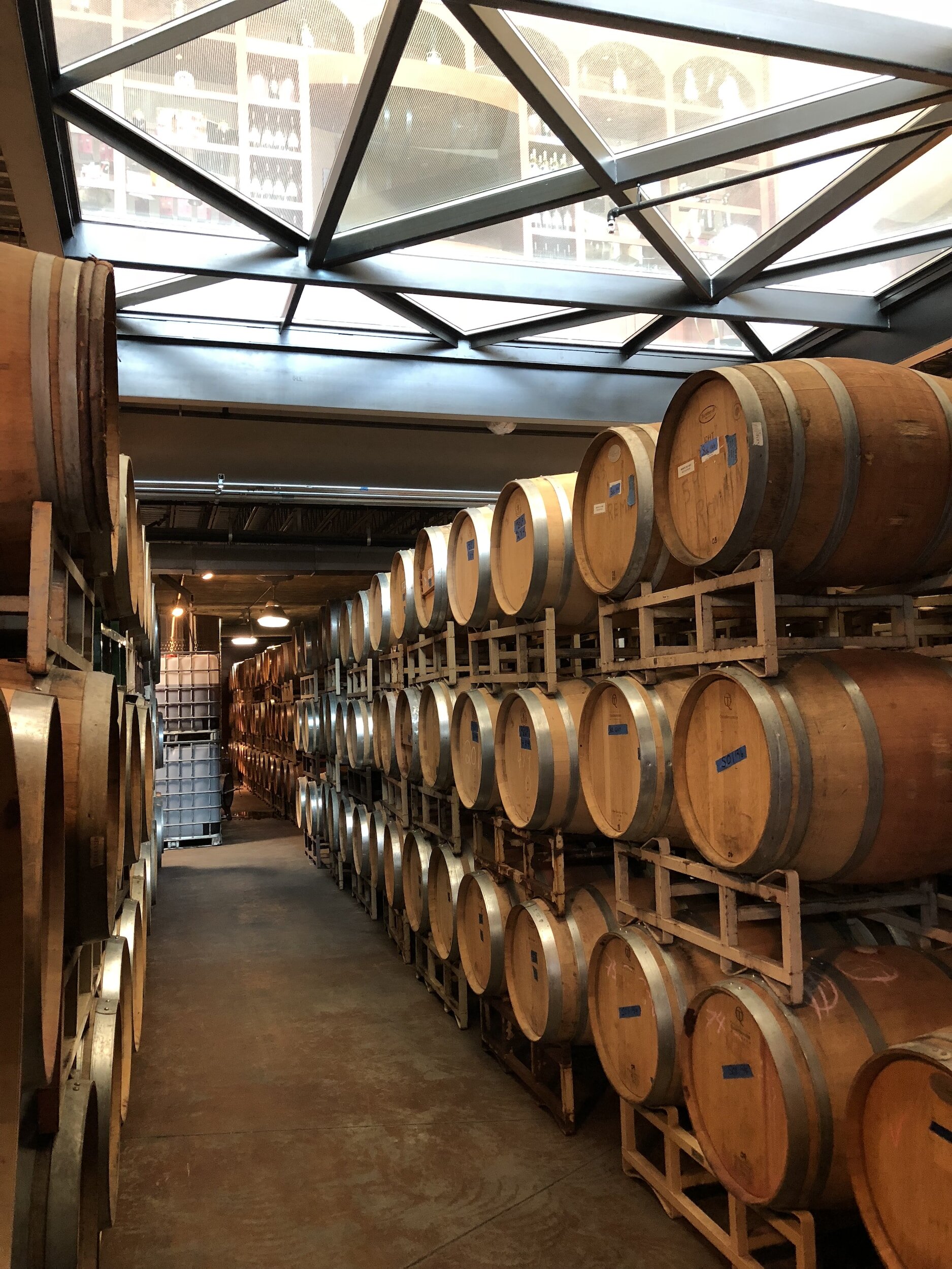 difference between cabernet sauvignon and malbec - wine barrels