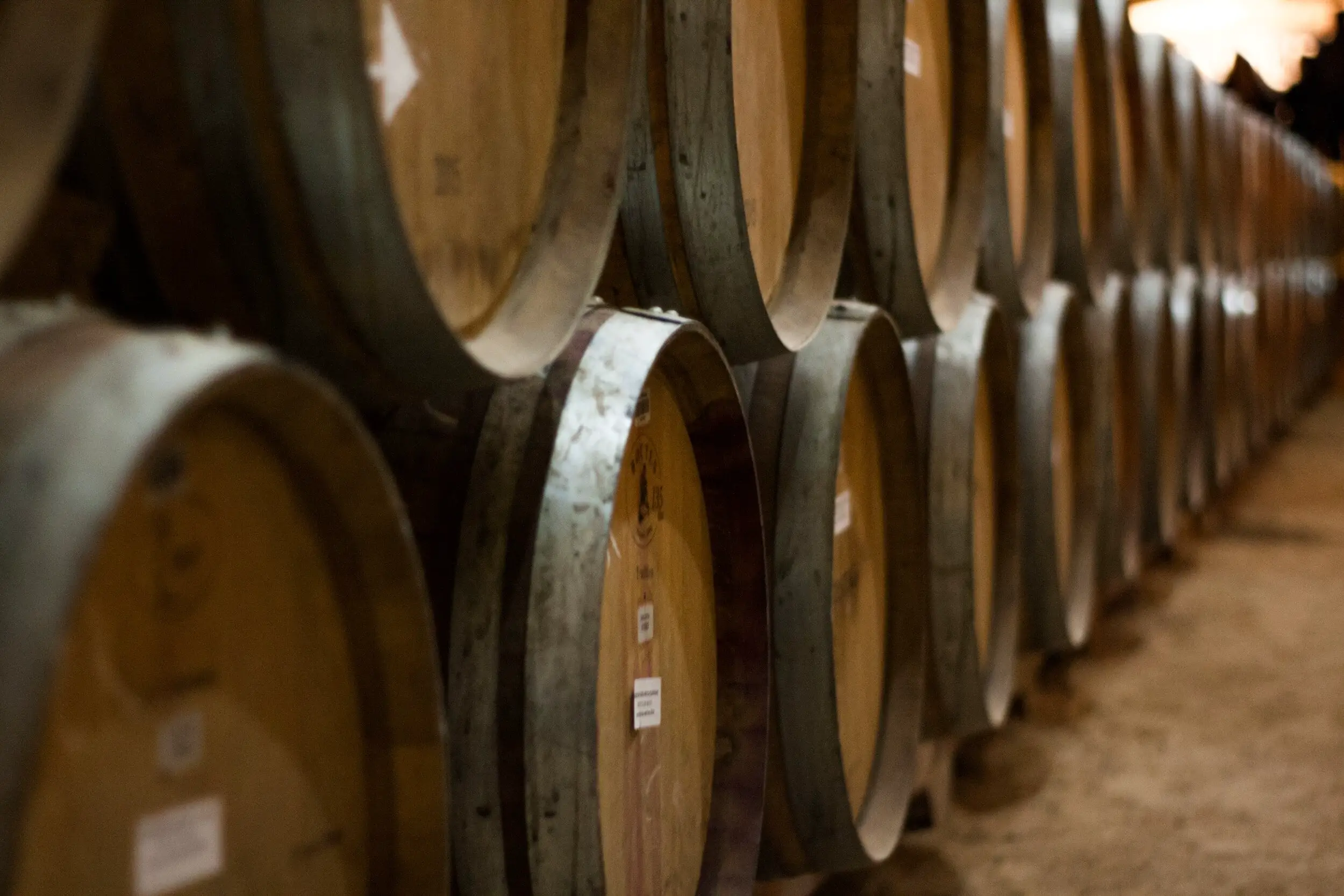 cabernet sauvignon vs cabernet franc - wine barrels