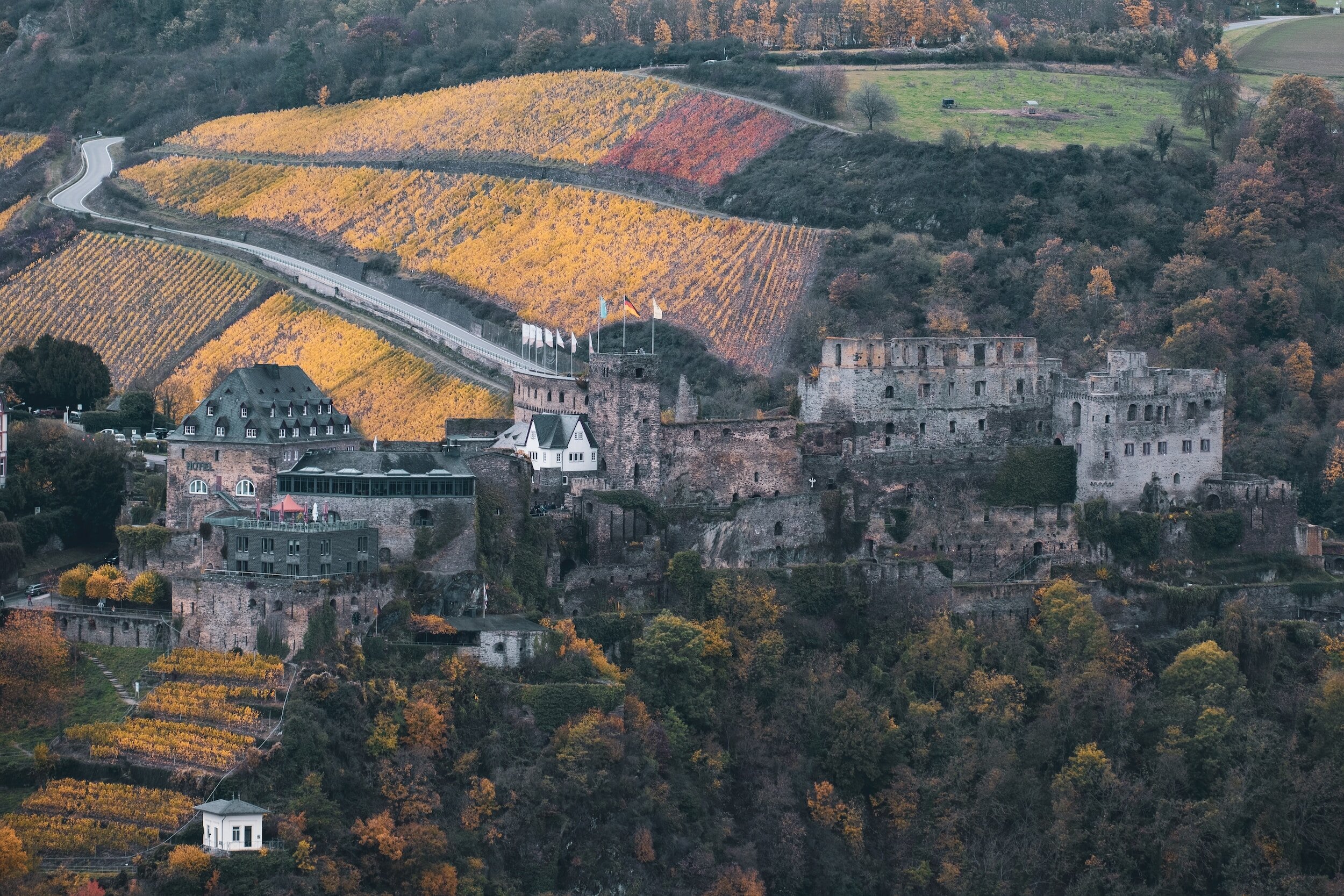 Vineyard in Germany - Pinot Blanc wine guide