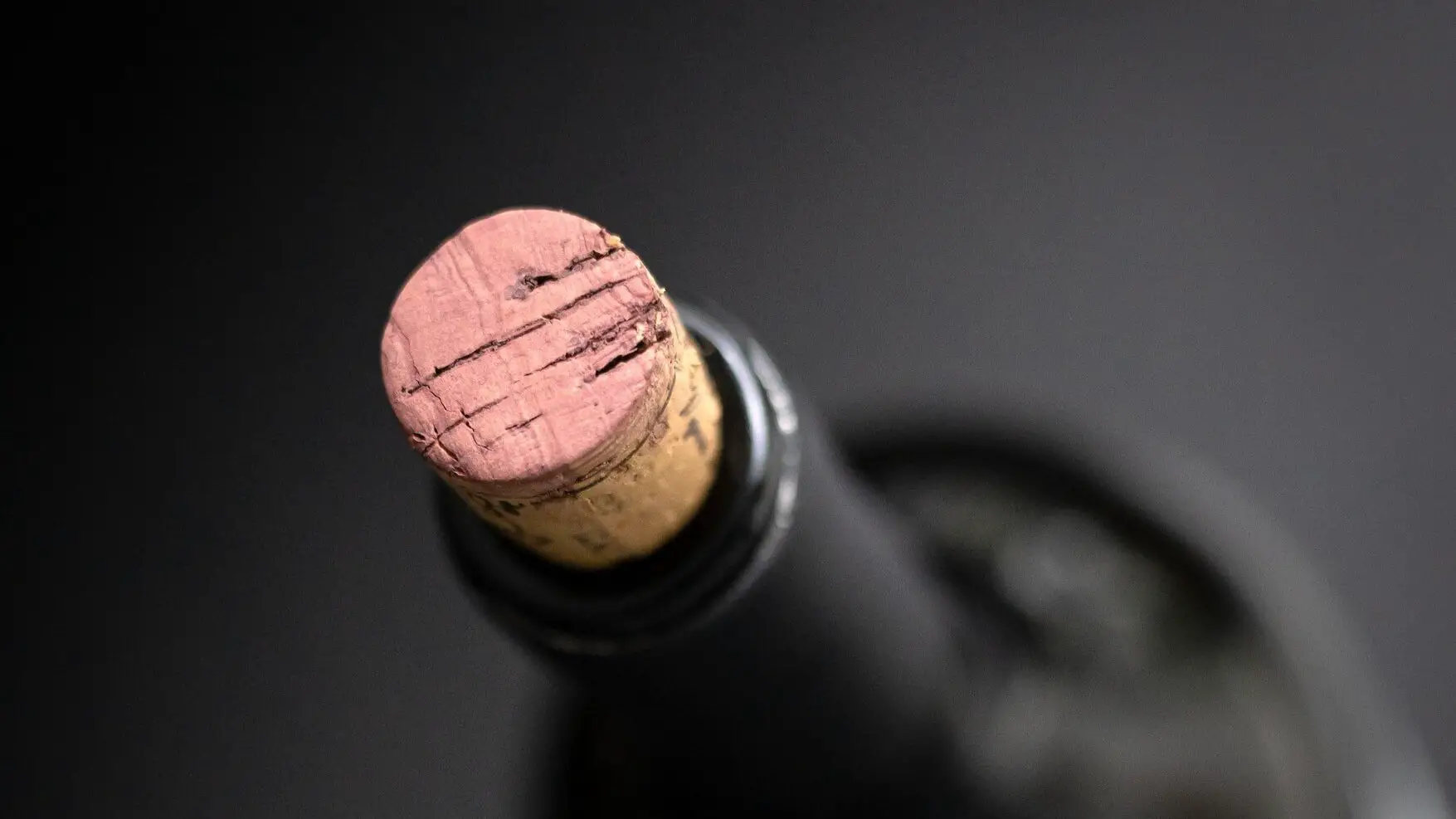 barbera-wine-guide - bottle cork
