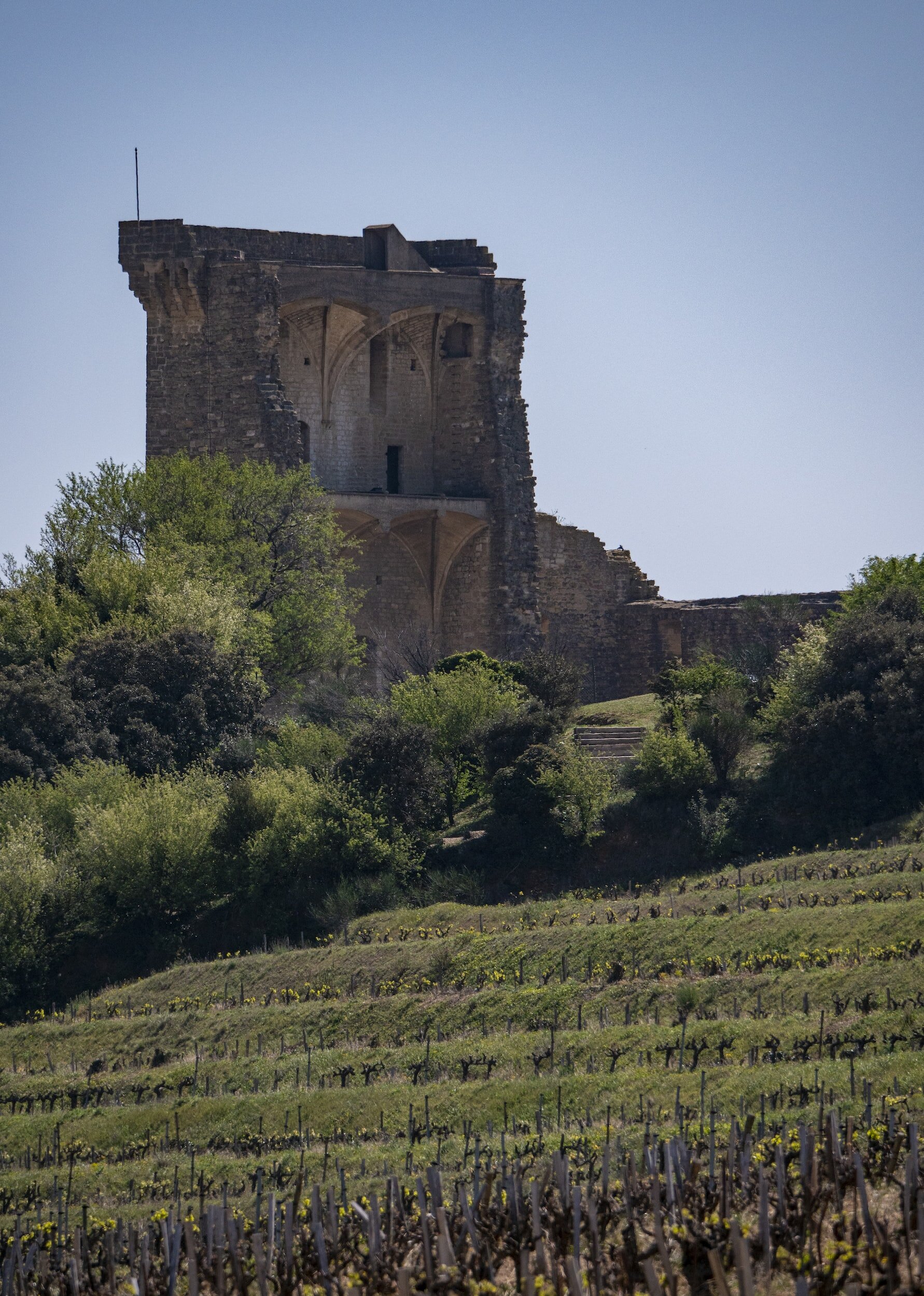 grenache wine guide - Châteauneuf-du-Pape vineyard