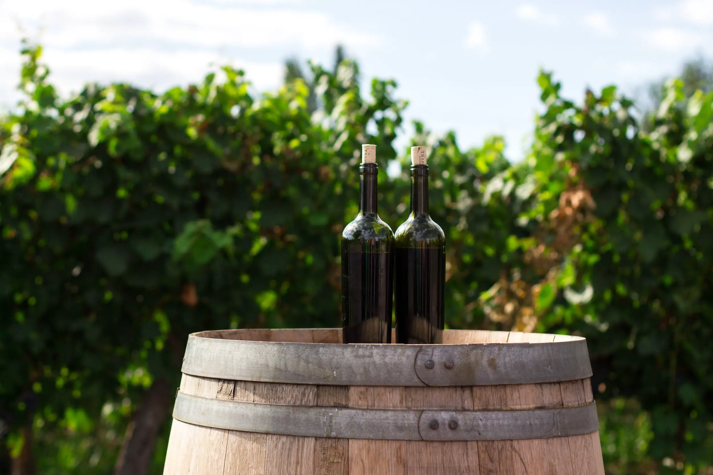 grenache guide - 2 wine bottles on a barrel