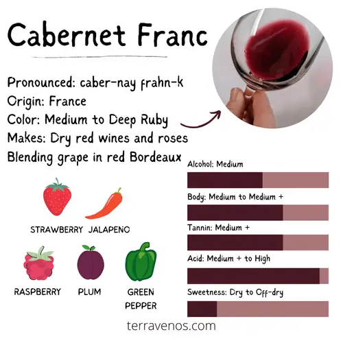 petit verdot vs cabernet franc - what's cabernet franc wine taste like infographic