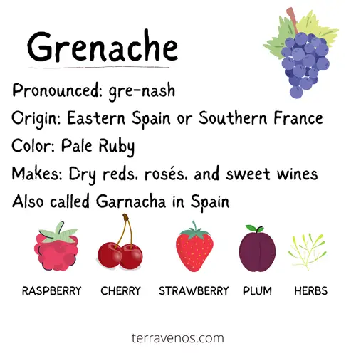 grenache vs tempranillo - grenache wine profile infographic