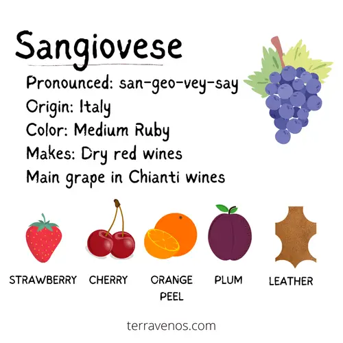 sangiovese vs tempranillo - sangiovese wine profile infographic