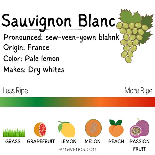 sauvignon blanc wine profile - what alcoholic drink goes with turkey