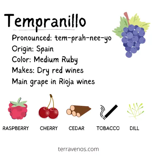 tempranillo vs shiraz- tempranillo wine profile infographic