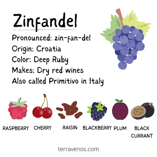 tempranillo vs zinfandel - zinfandel wine profile infographic