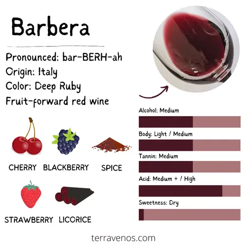 what's barbera wine taste like - barbera vs dolcetto