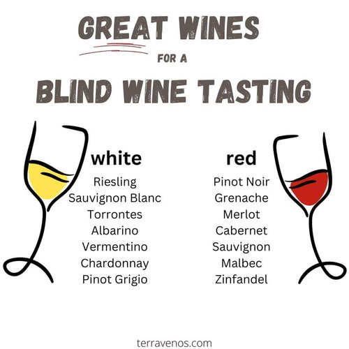 wines for a blind wine tasting at home list - how to save money on wine