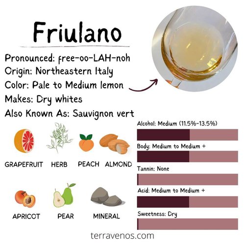 what's friulano wine like infographic