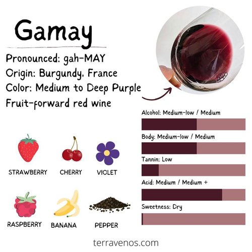 what's gamay wine taste like infographic - gamay vs pinot noir