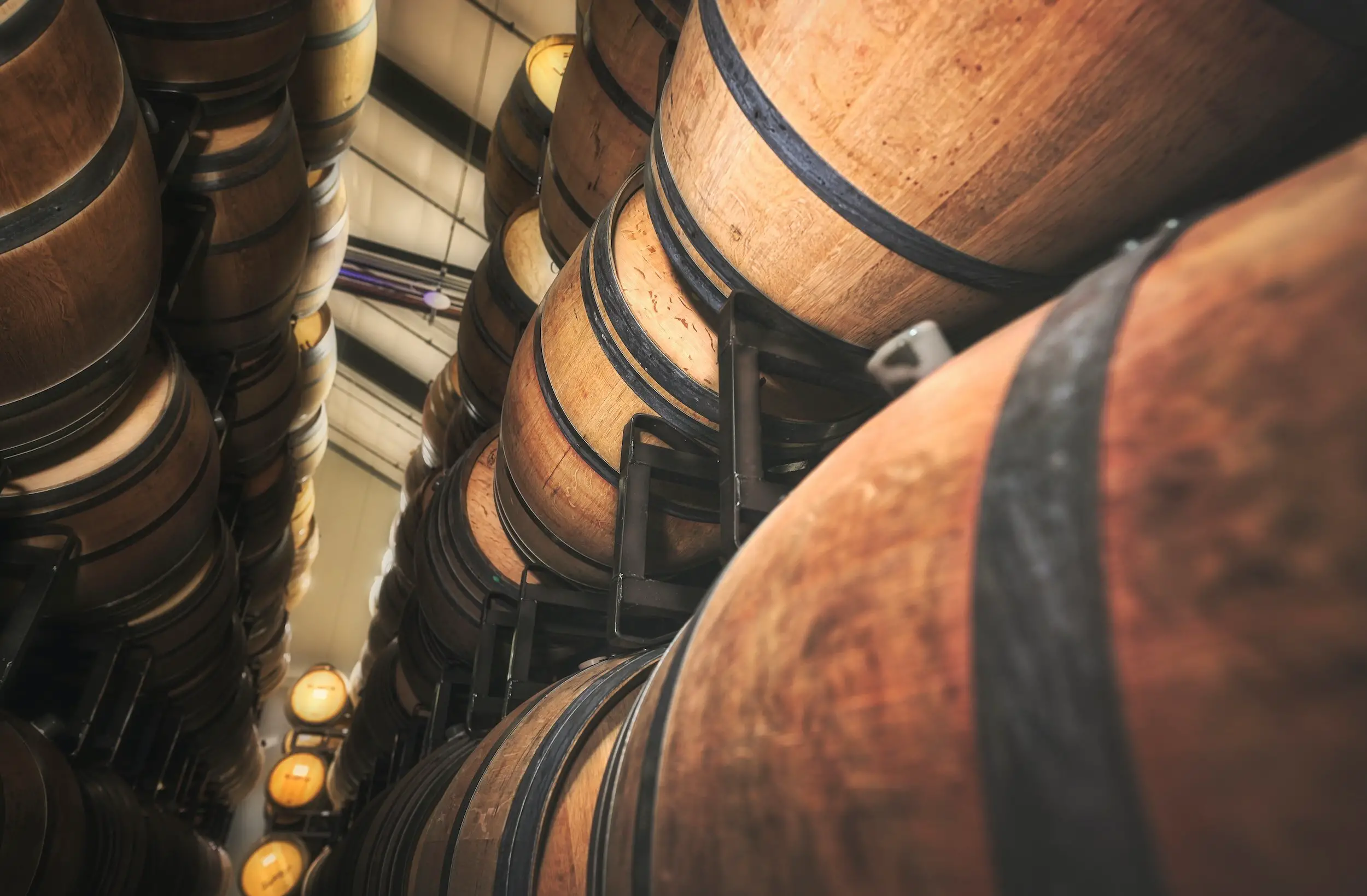 pinot noir guide - wine barrels