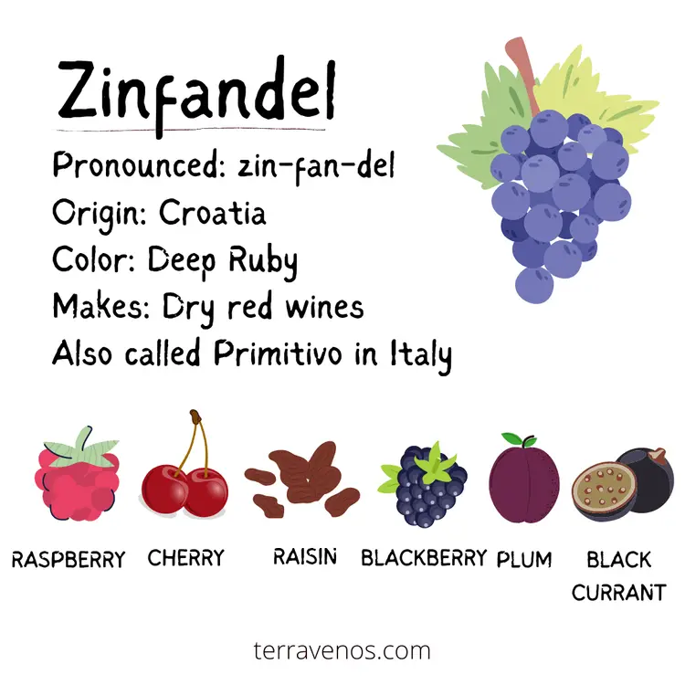 zinfandel wine infographic - zinfandel versus sangiovese