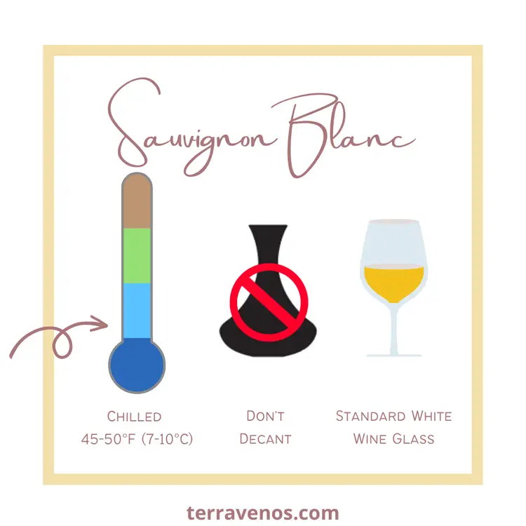 sauvignon blanc wine guide - how to serve sauvignon blanc infographic