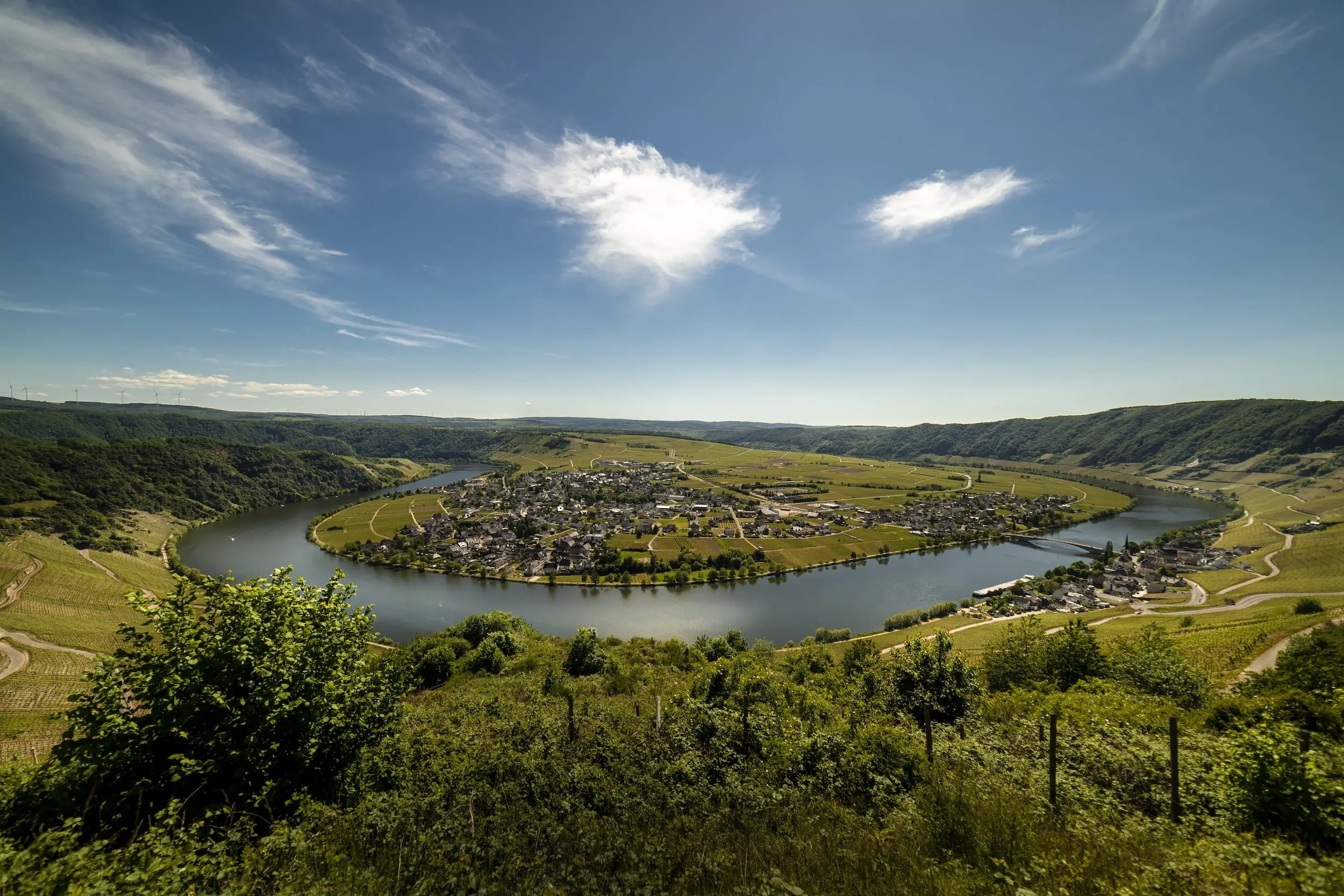 wine regions around the world - riesling and mosel - popular wine regions