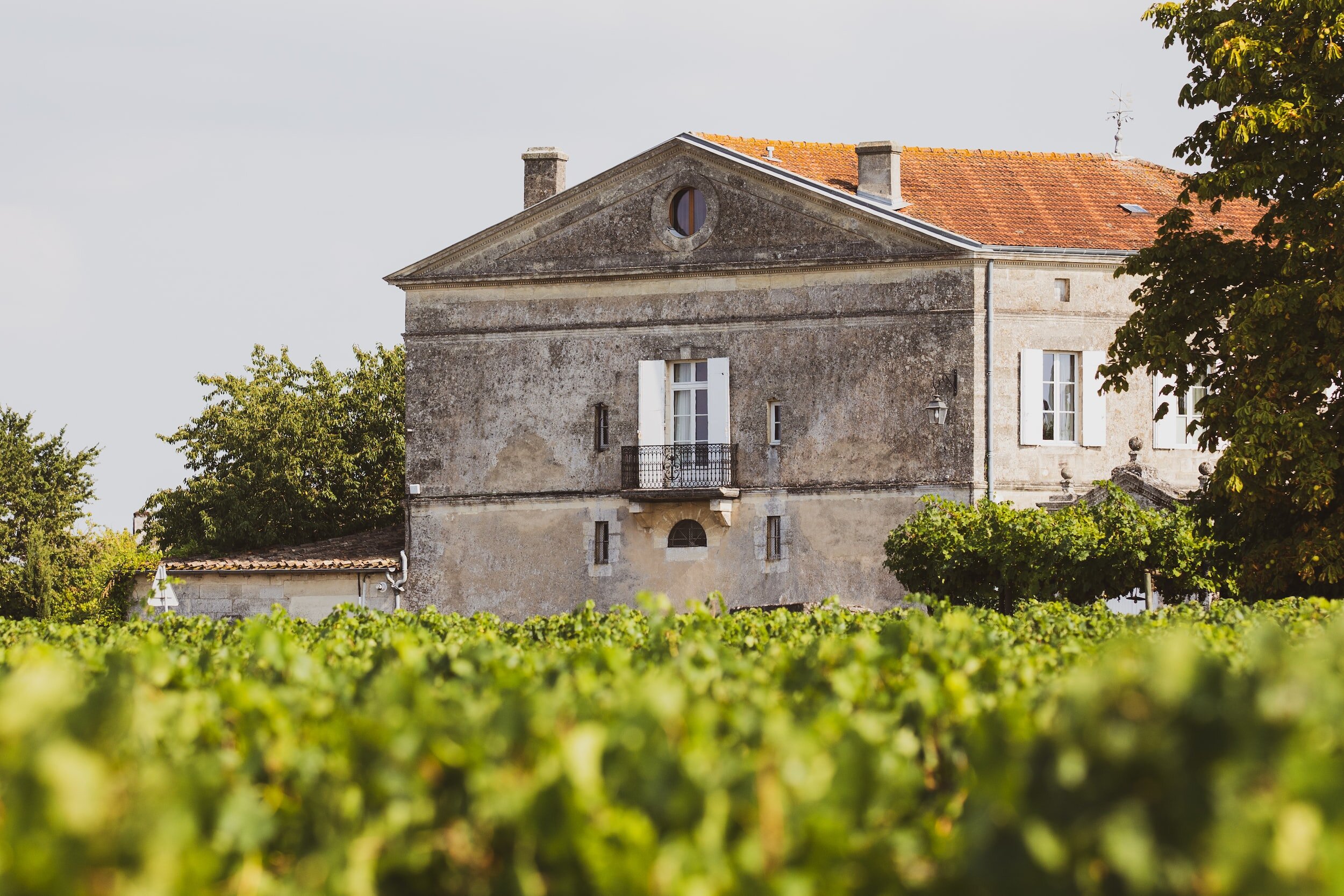 merlot-boardeaux-vineyard - merlot wine regions