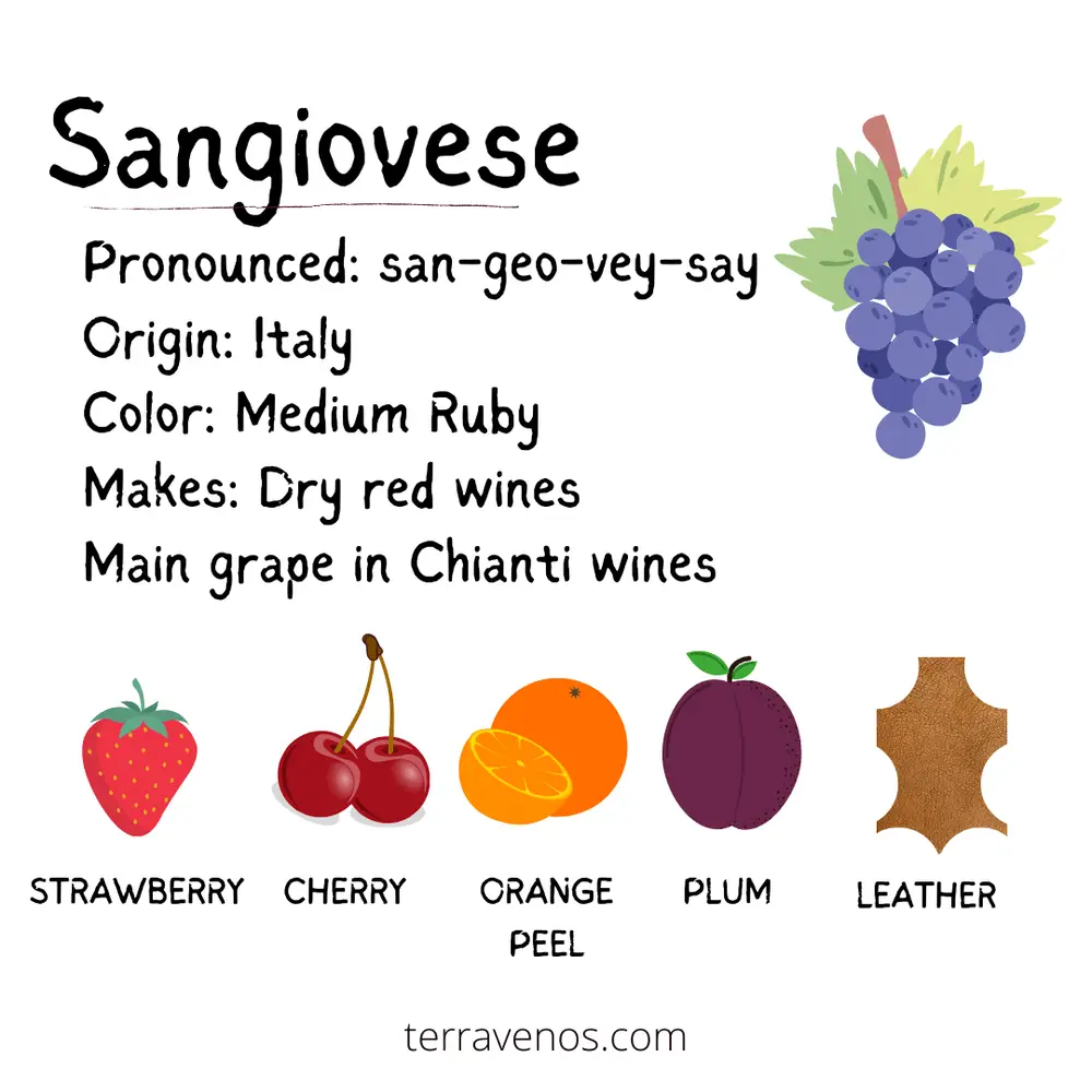 pinot noir vs sangiovese - sangiovese wine profile infographic