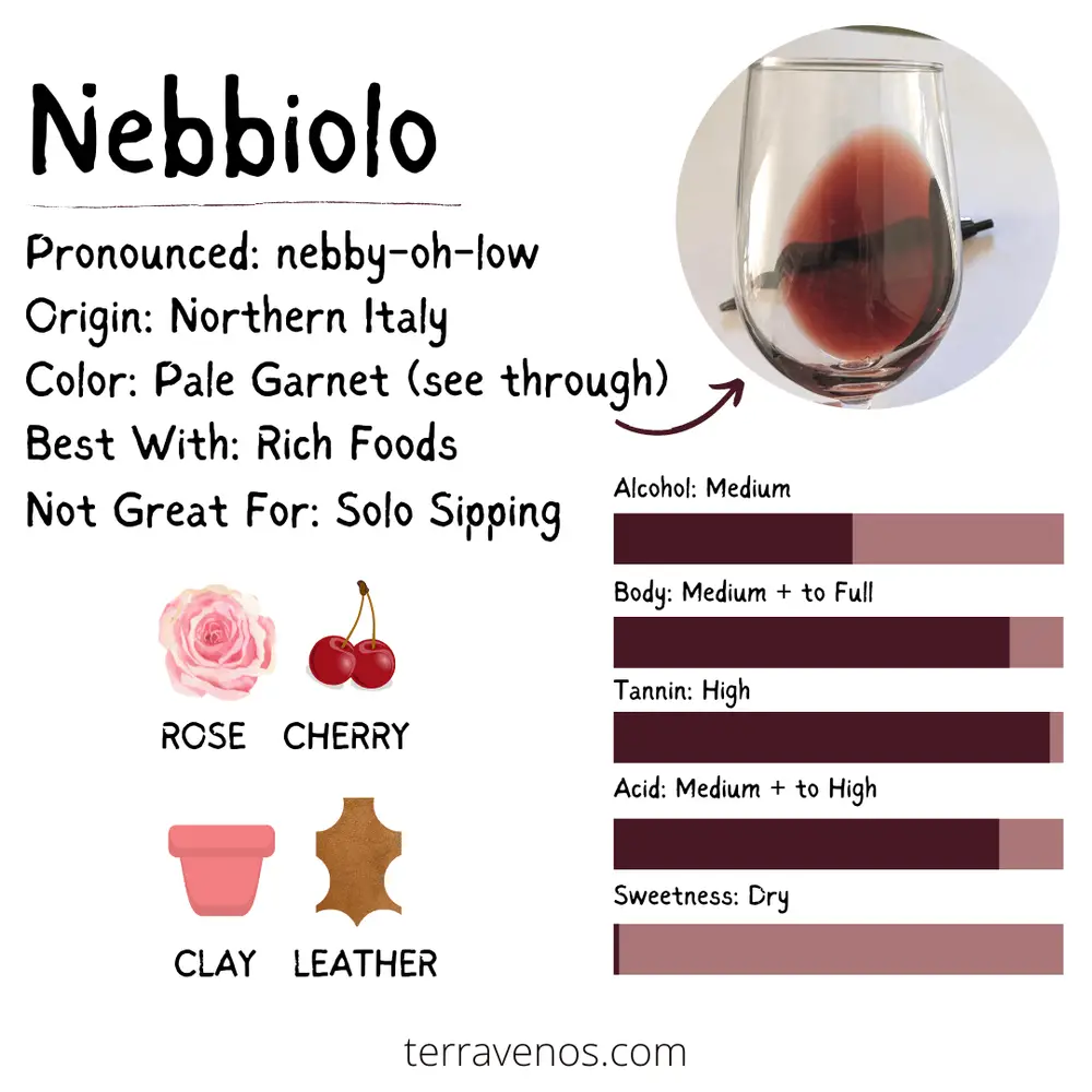 what's nebbiolo wine taste like infogrpahic - nebbiolo vs barbera