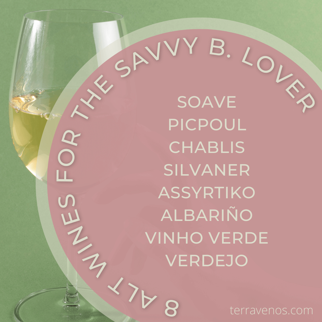 other-wines-like-sauvignon-blanc - wine infographic
