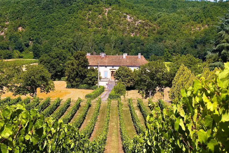 house in vineyards in cahors, france - malbec wine