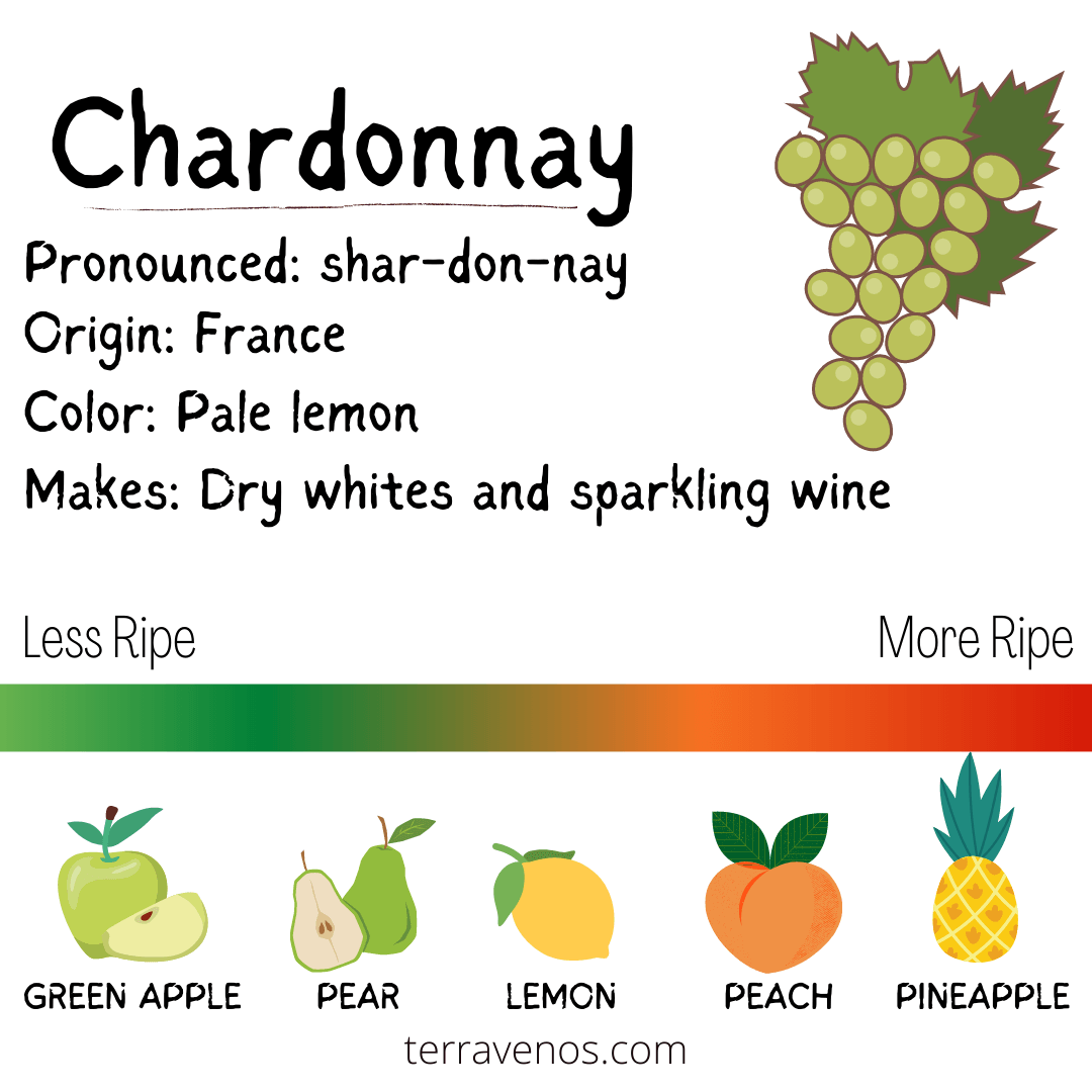 chardonnay wine infographic - best wine for beginners