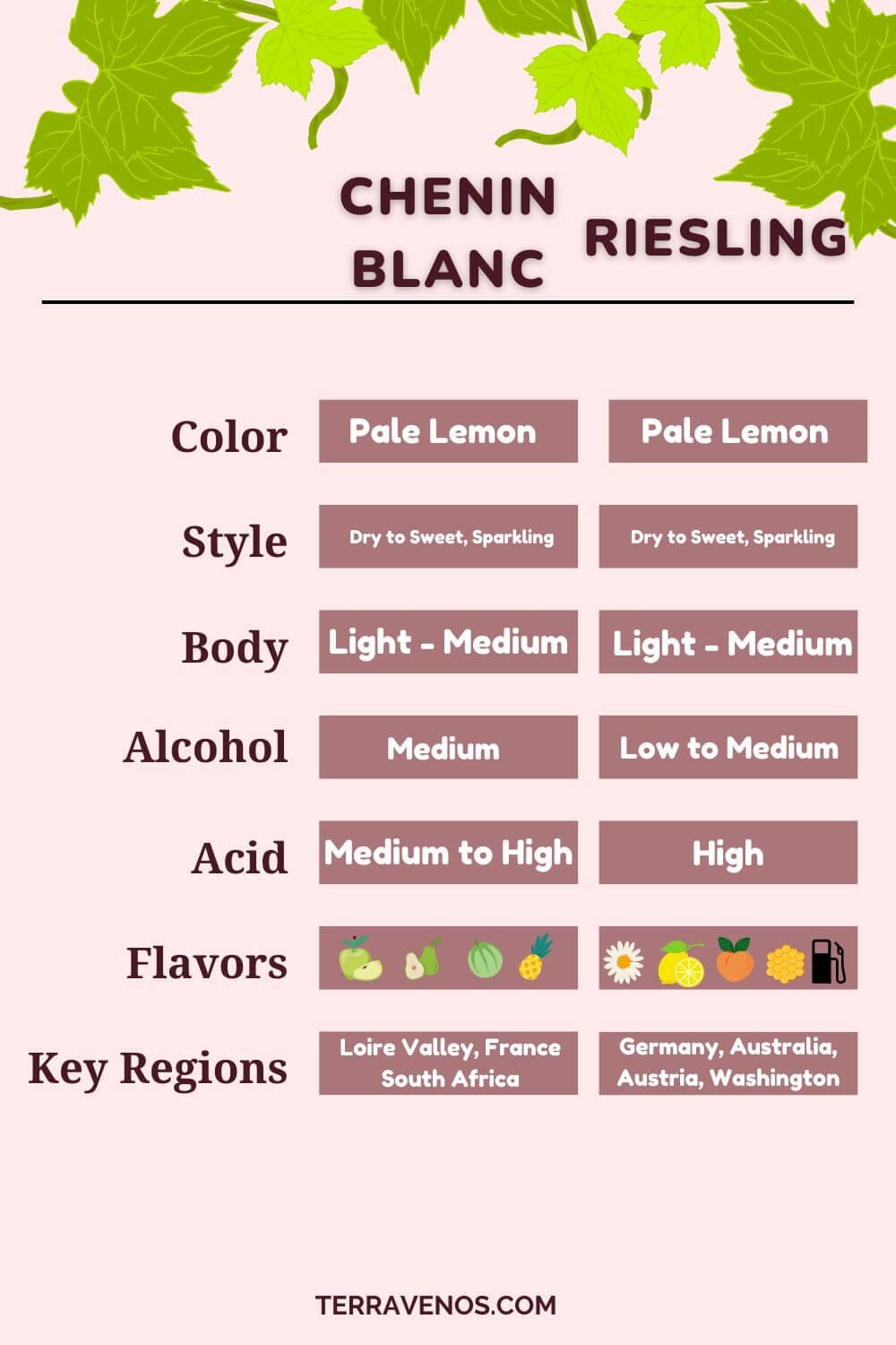 what's the difference between chenin blanc and riesling chart - chenin blanc vs riesling