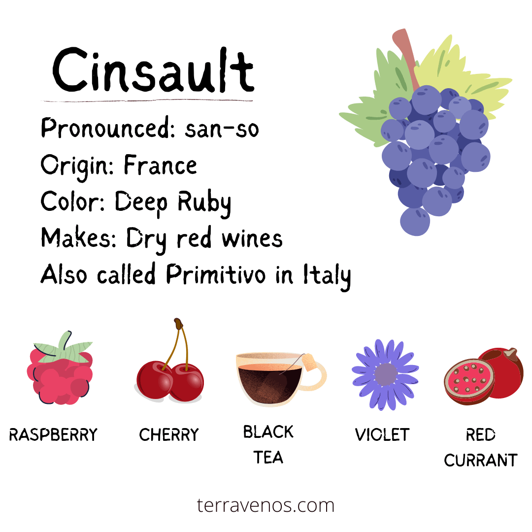 wine like merlot - cinsault