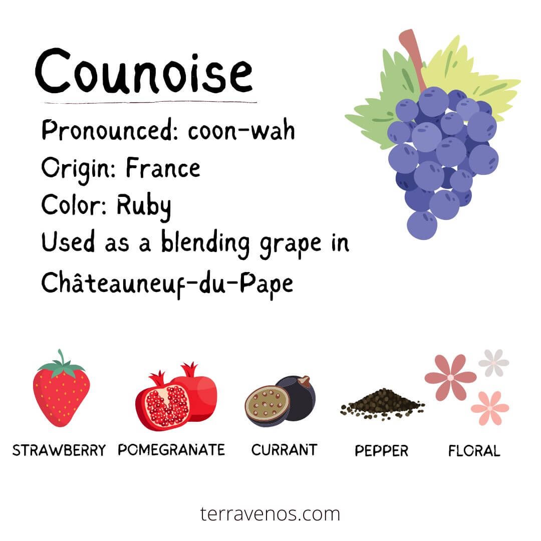 Counoises-wine-profile-alternative-to-merlot