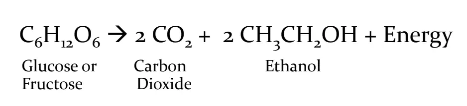 chemical formula for wine fermentation - how does wine fermentation work