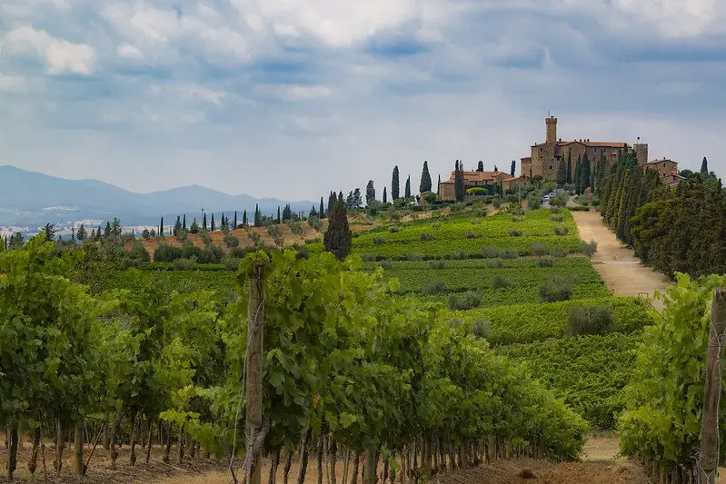 does wine go up in value - tuscan vineyard