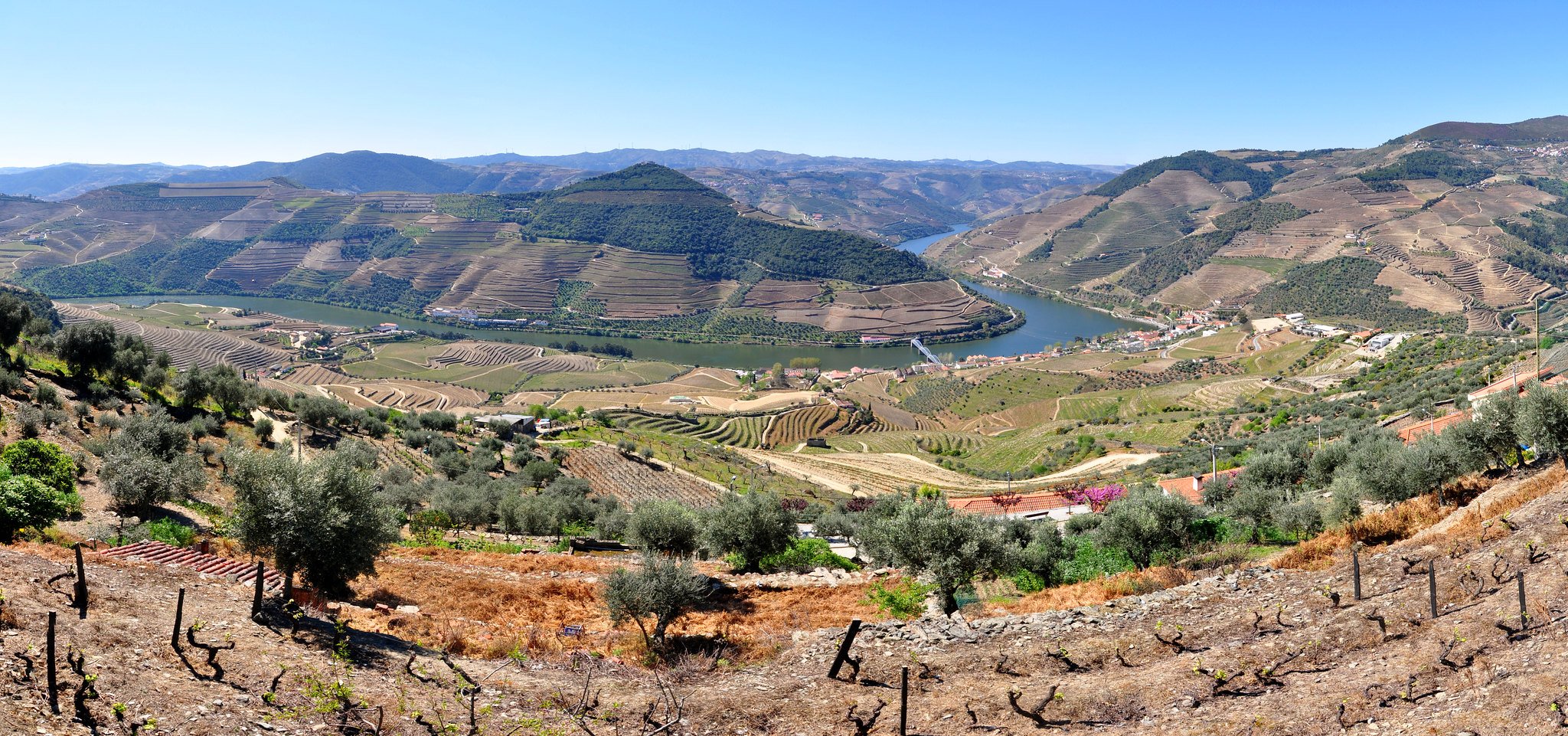 vintage port wine - douro valley