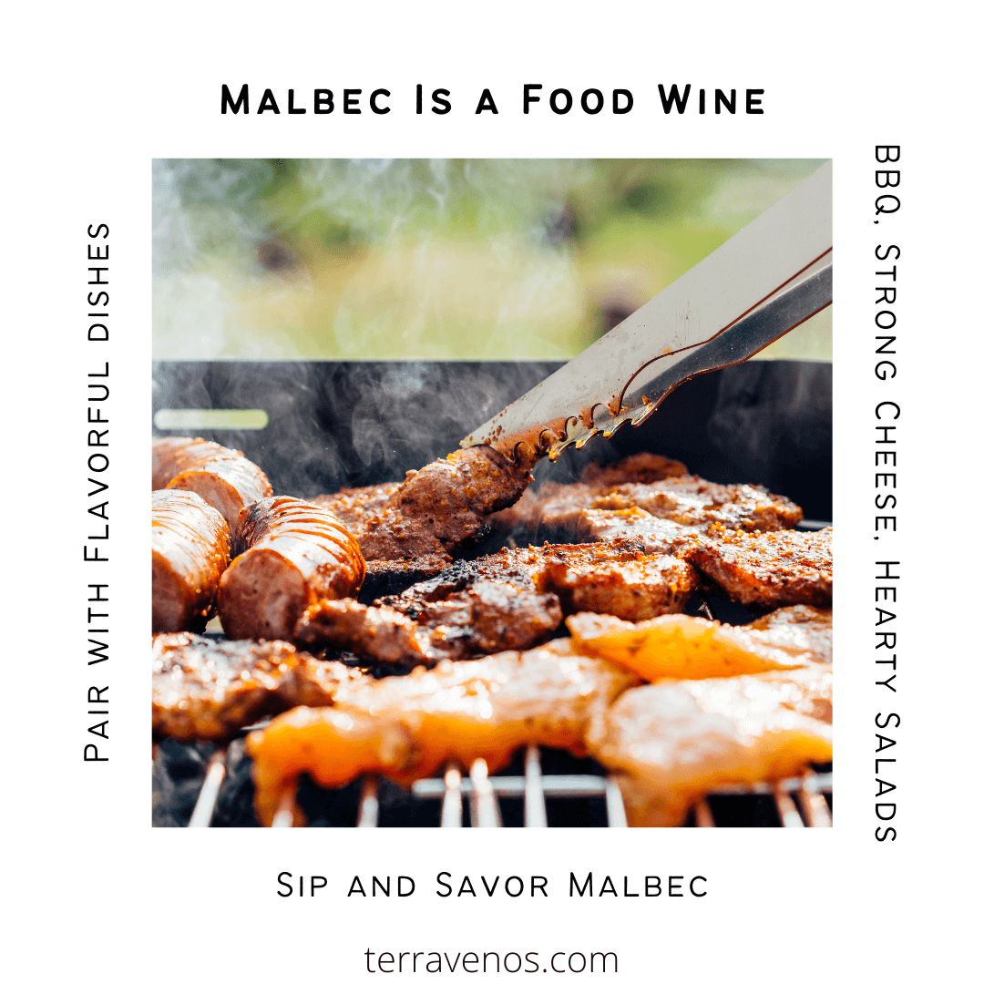 food with wine pairing - malbec