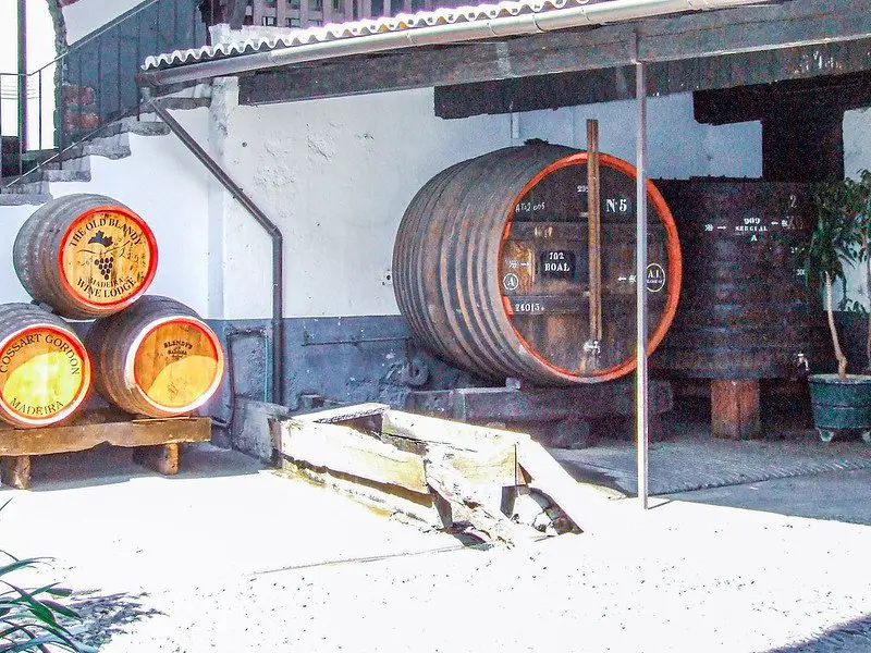 madeira winemaking - port vs madeira