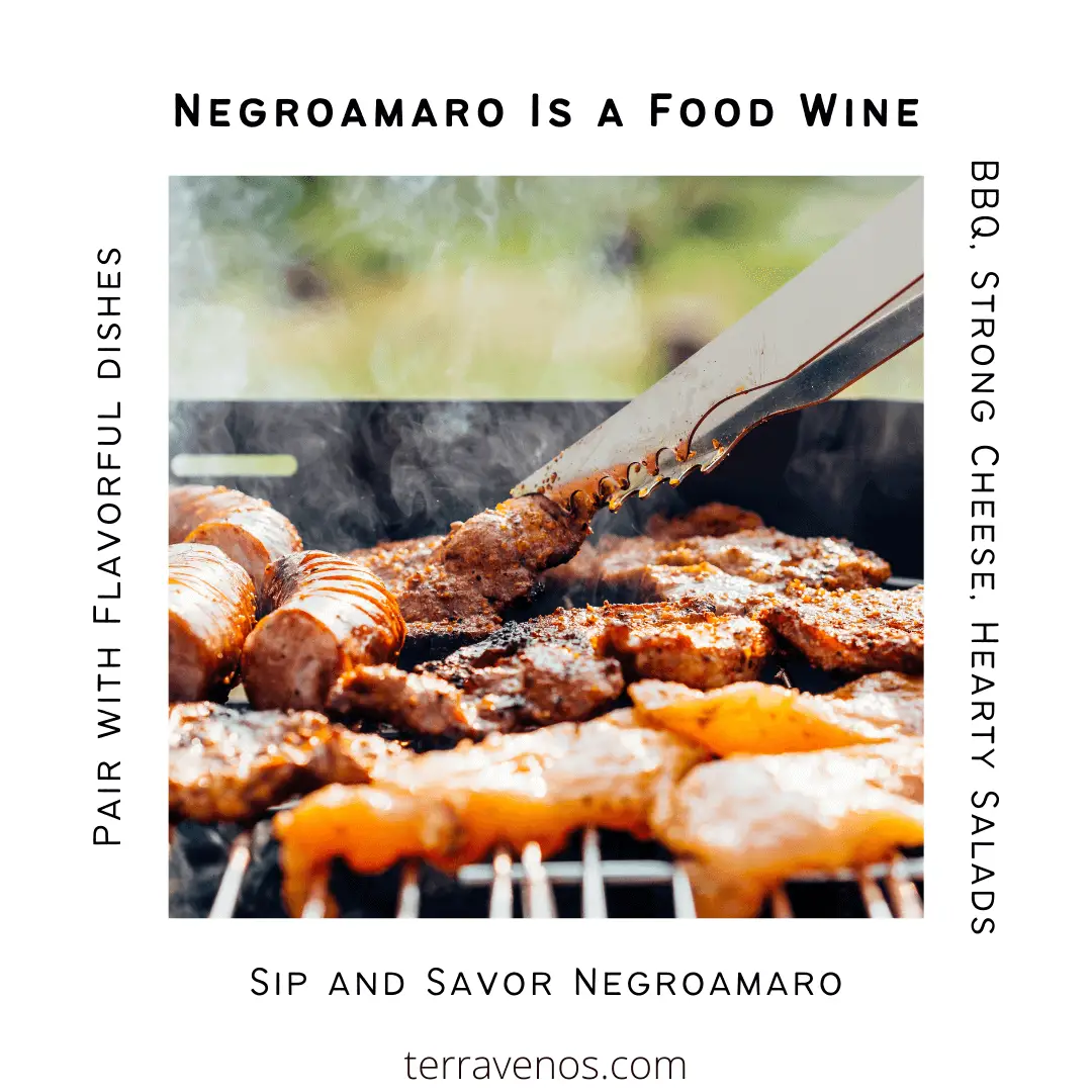 negroamaro - food pairing guide