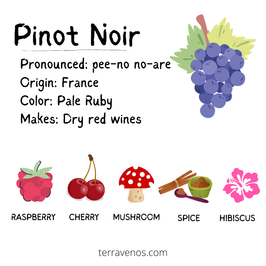 Pinot Noir Flavor Profile