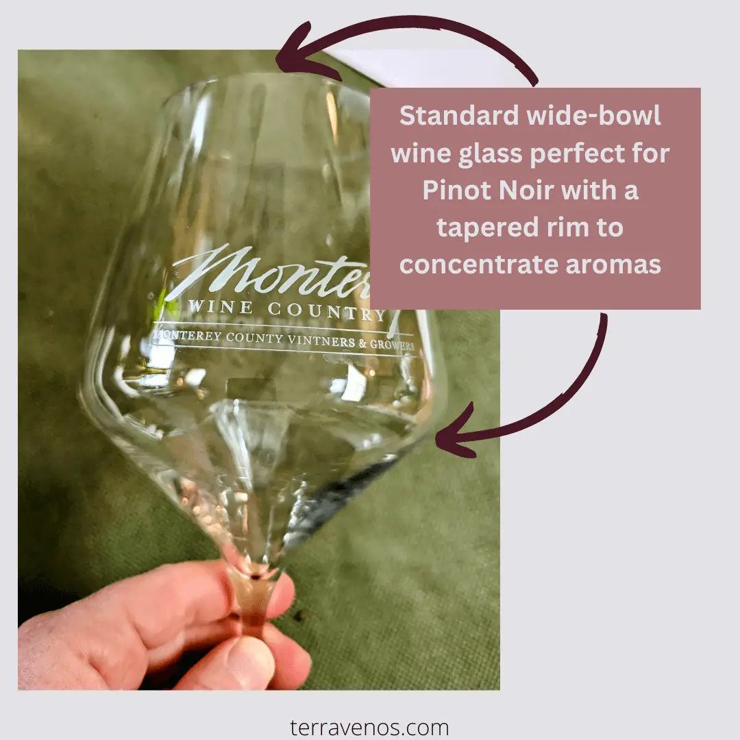 pinot-noir-wine-glass-example Pinot Noir wine guide
