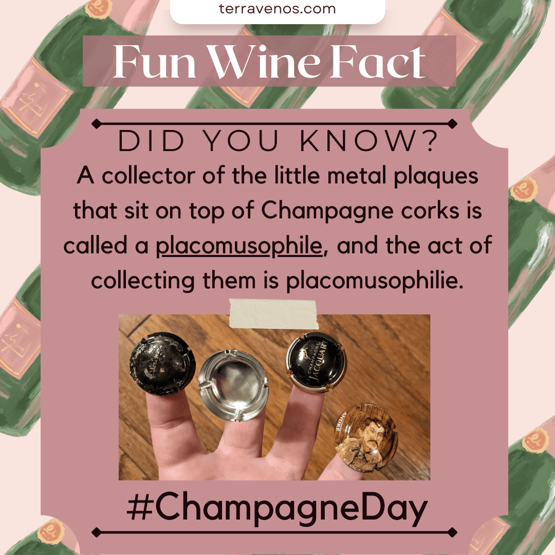 champagne facts - placomusophile infographic