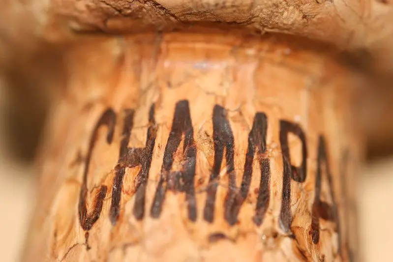 Champagne Cork - champagne facts