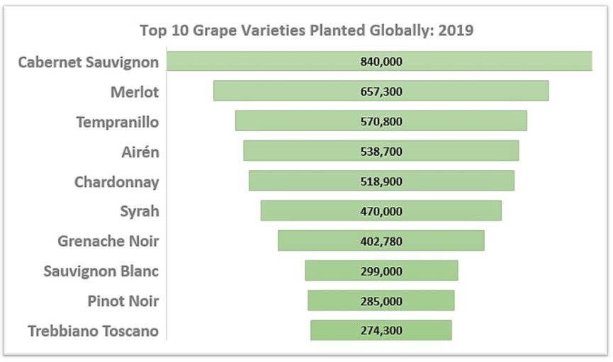 Top 10 Wine Grape Varieties Globally 2019