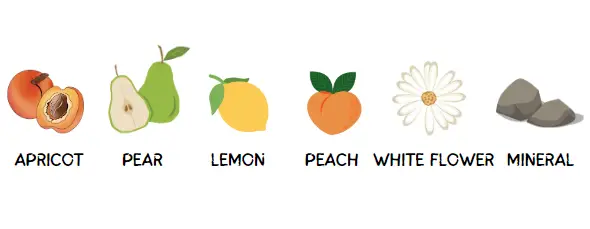 what's orange wine taste like - flavor chart