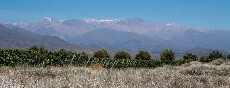 Uco Vally vineyards, argentina