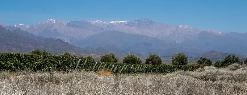 Uco Vally vineyards, argentina - malbec wine