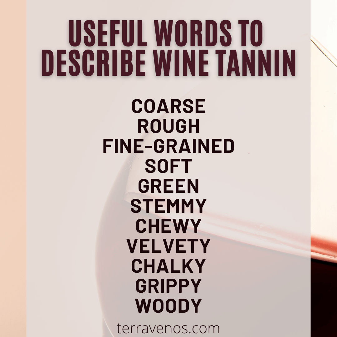 how to describe wine tannins - list of words infographic