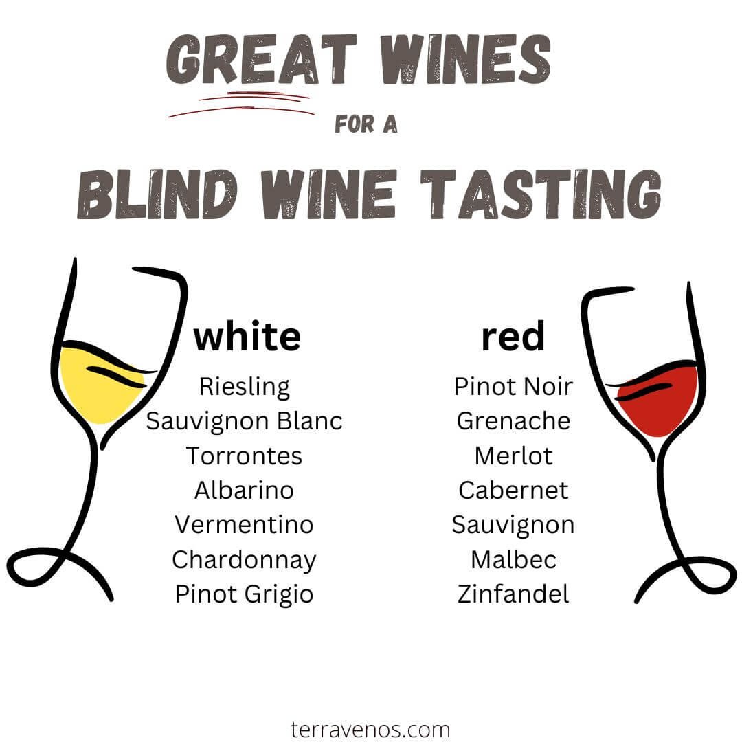 how do you host a blind wine tasting at home - what wines to serve