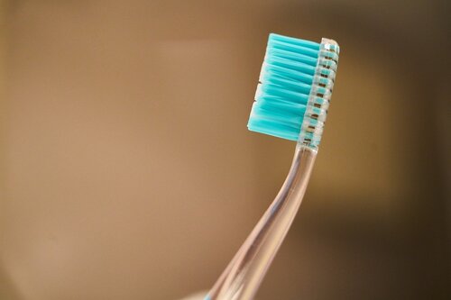 blue-2729261_1280.jpg - mousiness in wine - toothbrush