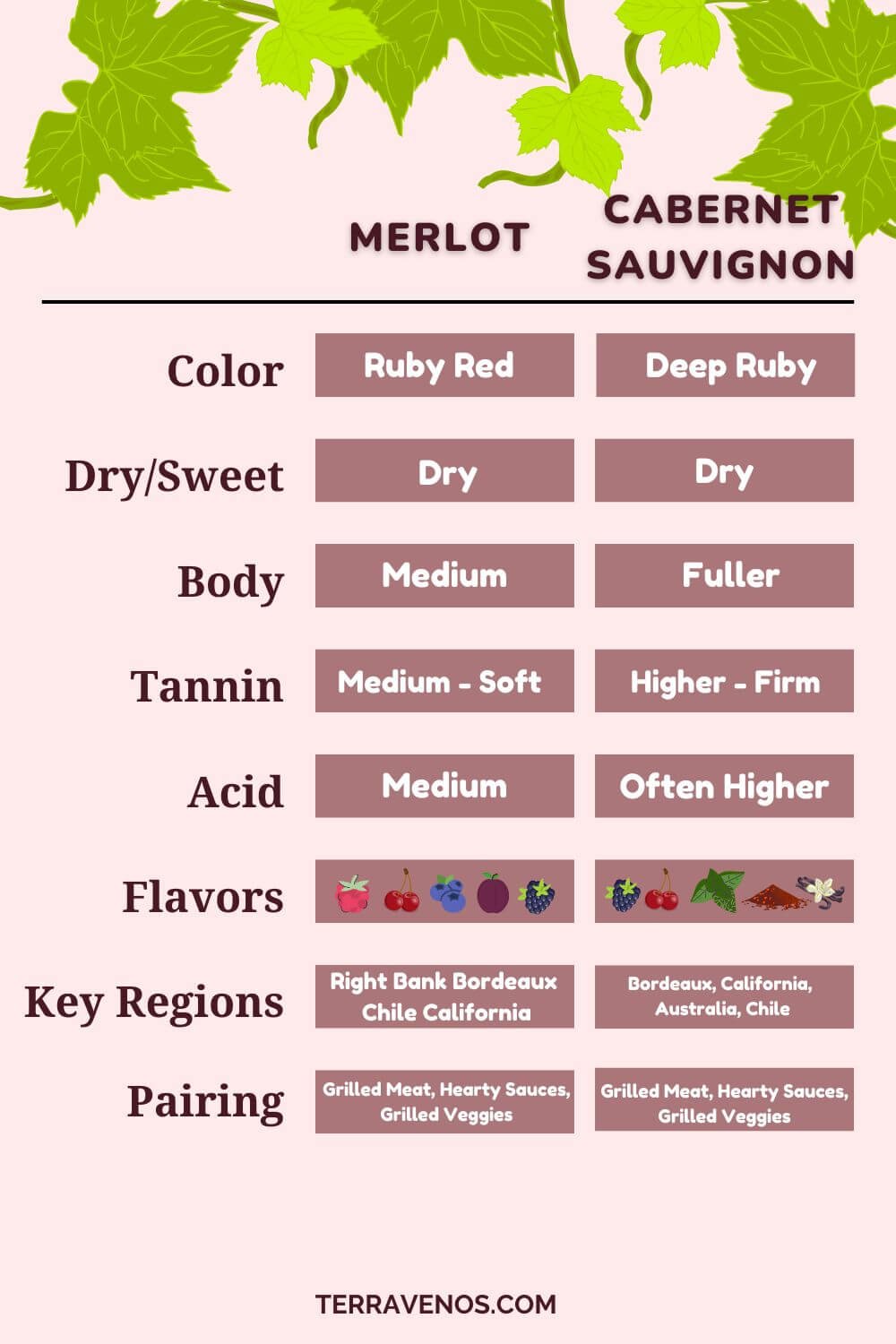 merlot vs cabernet sauvignon -side-by-side-infographic comparison